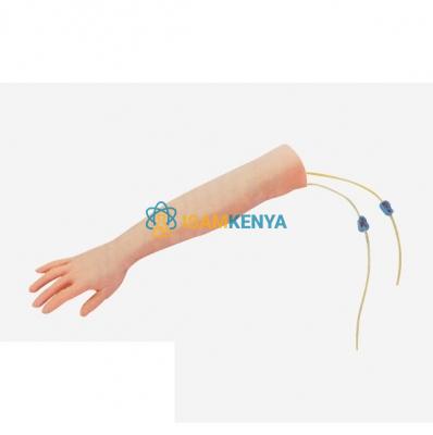 Advanced Arm Model for Venipunct