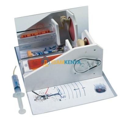 Functional Ear Model