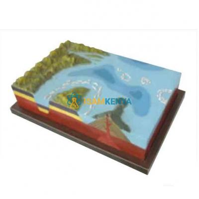 Genetic Model of Islands