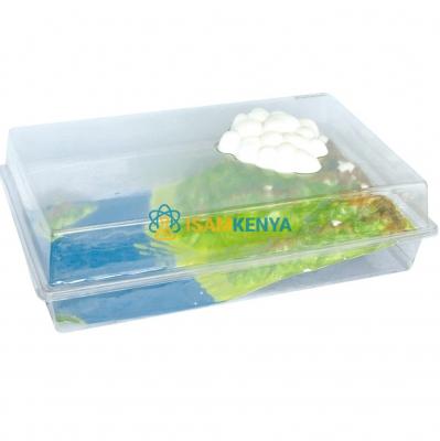 Hydrological Cycle Model