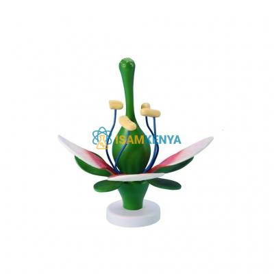 Large Size Flower Model