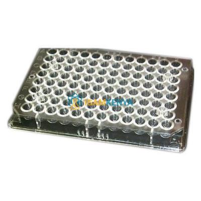 Microtiter Plate