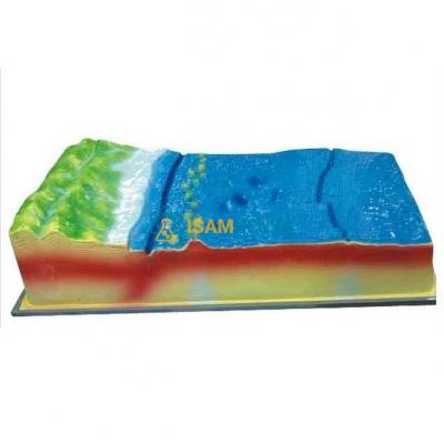 Model of Plate Structure and Surface Morphology