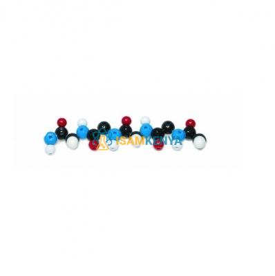 Polypeptide Molecular Model Kit