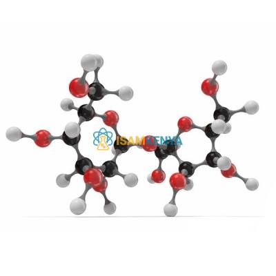 Sucrose Molecular Model