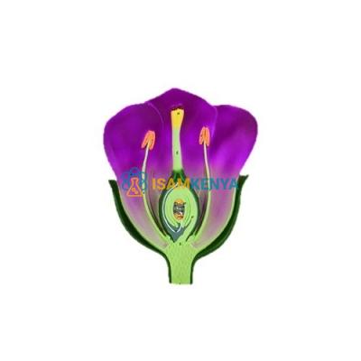 Typical Flower LS Model